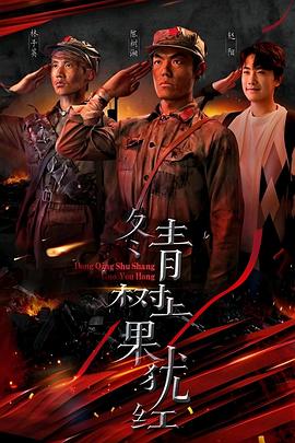 冬青树上果犹红(1080)