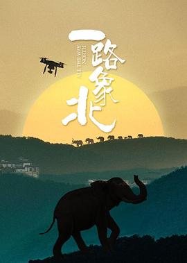 一路象北(蓝光)