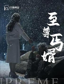 至尊丐婿(蓝光)