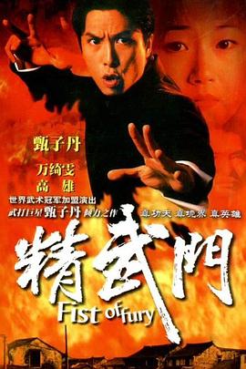 精武门1995(4K)