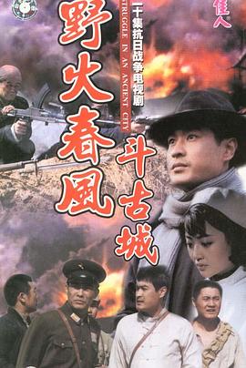 野火春风斗古城(1080)