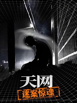 天网迷案惊魂（4K）