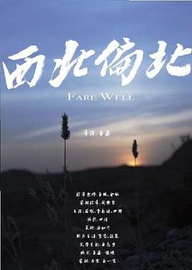 西北偏北(蓝光)
