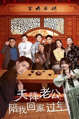 天降老公陪我回家过年(1080)