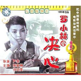 罗小林的决心(蓝光)
