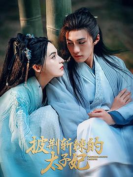 披荆斩棘的太子妃(1080)