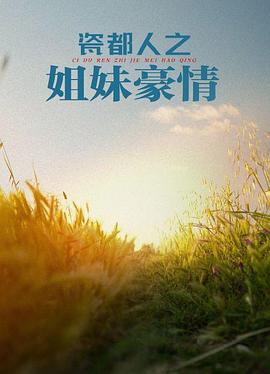 瓷都人之姐妹豪情(蓝光)