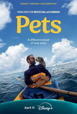 宠pets(蓝光)