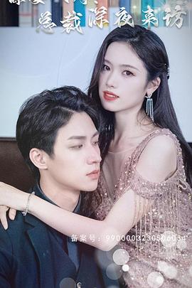 谋妻入局总裁深夜来访(蓝光)
